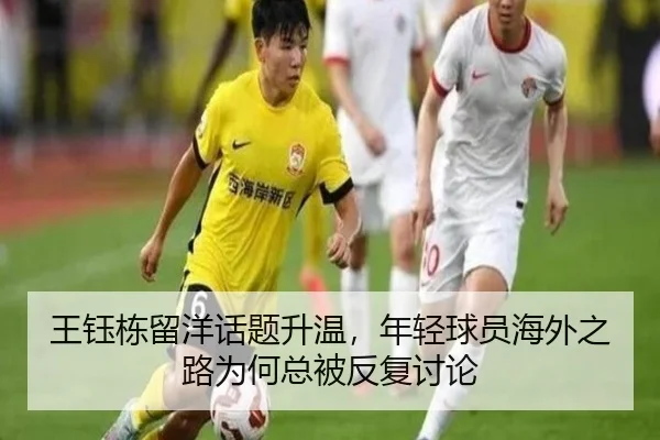 wang-yu-dong-liu-yang-hua-ti-sheng-wen-nian-qing-qiu-yuan-hai-wai-zhi-lu-wei-he-zong-bei-fan-fu-tao-lun-2-129.jpg